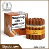 Xì gà Cohiba Siglo 1